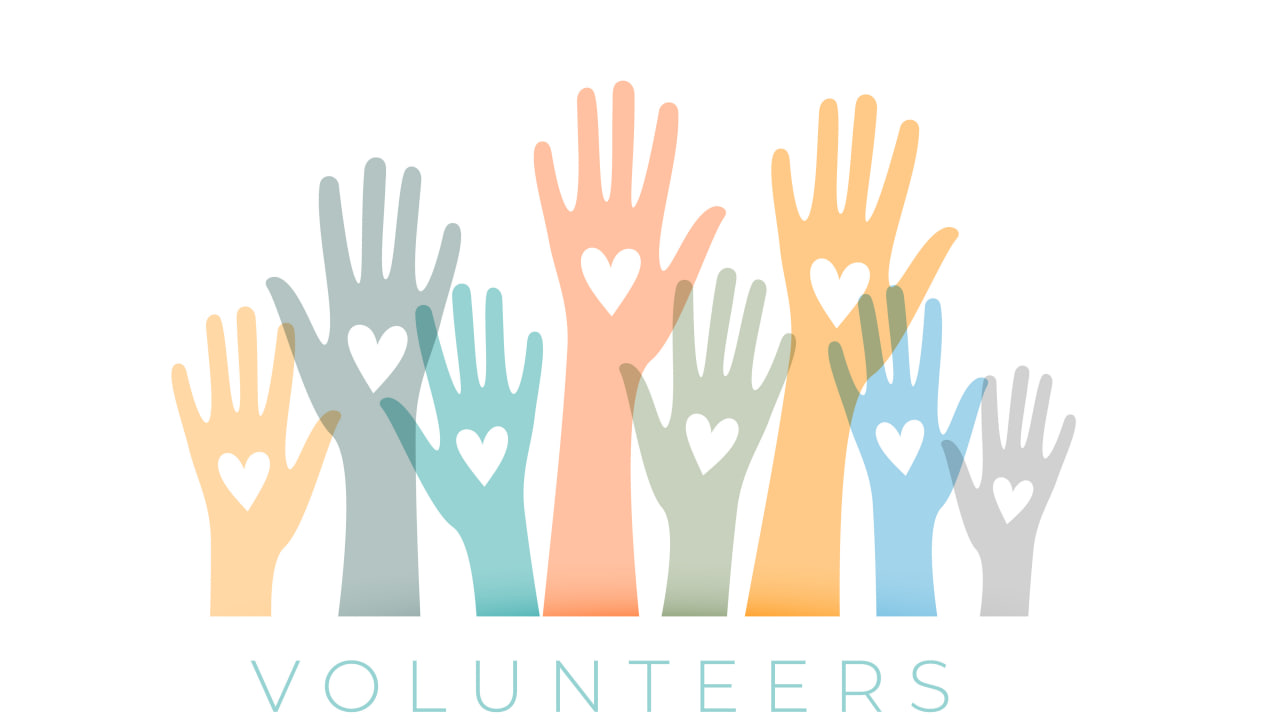 Volunteer Opportunity 3